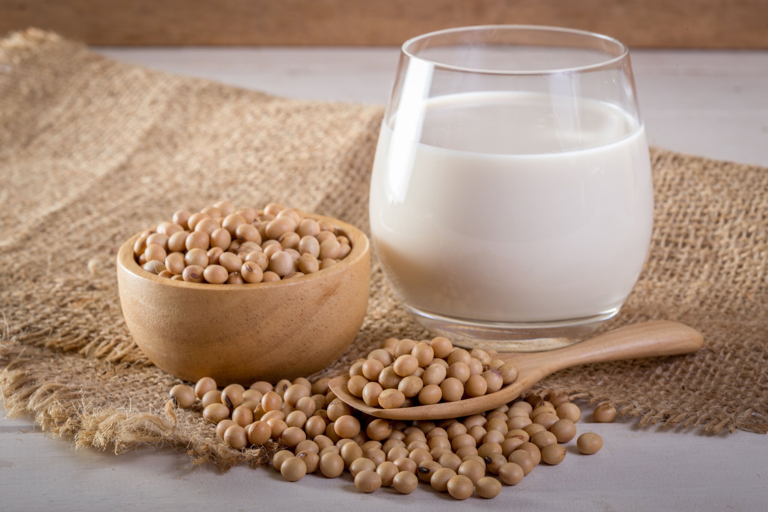 What Is Pea Protein Sweetener Products Blog